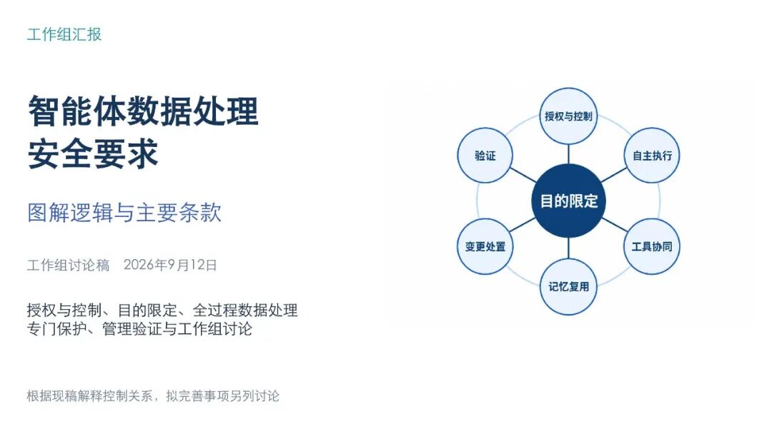 智能体数据处理安全要求图解，第1页